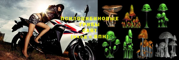 ешки Алзамай