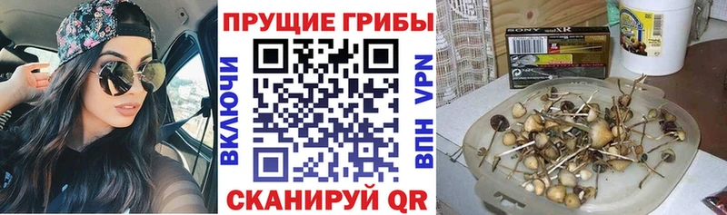 МЕГА как войти  Асбест  Псилоцибиновые грибы Magic Shrooms 